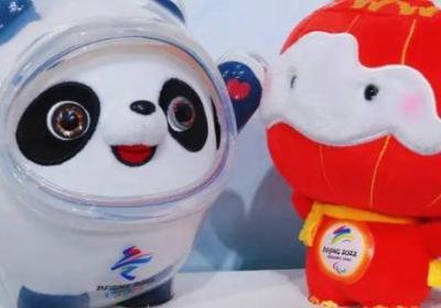 冰墩墩什么样子的