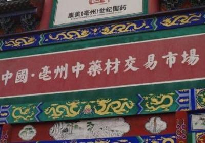 四大药都是什么地方