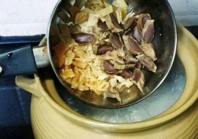 陈肾是什么东西