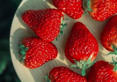 草莓存放需要放冰箱吗