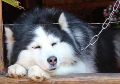 爆笑短笑话大全，40个顶级搞笑笑话