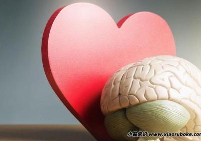 头和心脏哪个更重要，一样重要(都是人类重要的器官)