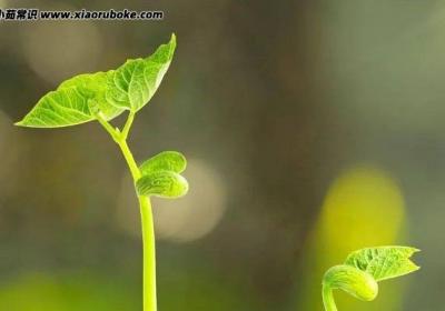 正能量的句子 人生感悟 努力工作（激励人心的励志金句）