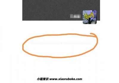 朋友圈一条横线一个点是什么意思，三种情况分析(可能好友被删)