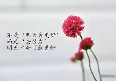 励志的句子经典语句，送给一直很努力的你原创