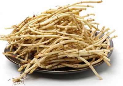 鱼腥草的功效与作用原创