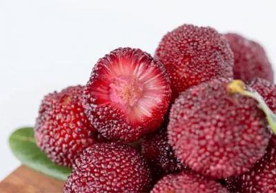 杨梅是凉性还是热性原创