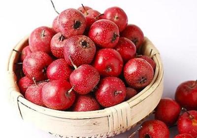 山楂的功效与作用原创
