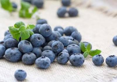 蓝莓的功效与作用原创