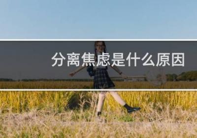 分离焦虑是什么原因