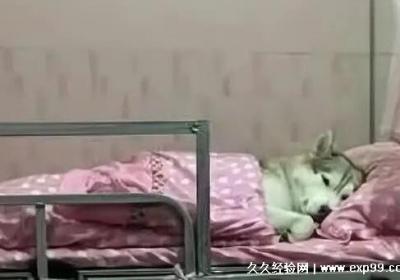 网络用语早八是什么意思，早上八点的第一节课(大学生也要早起)