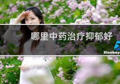 哪里中药治疗抑郁好