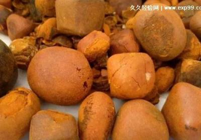牛黄是什么东西，由牛的胆汁和黄连混合而成(医疗功效多种多样)