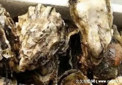 生蚝怎么清洗内脏图解，简单3步清洗干净(要加植物油浸泡)