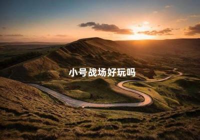 小号战场好玩吗 适合双排的游戏手游