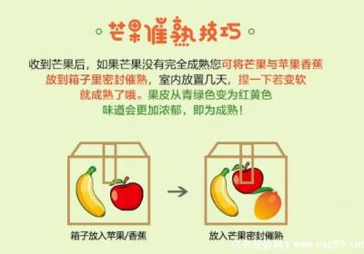 芒果怎么催熟最快不会有黑点，和水果放在一起最简单