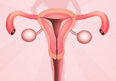 女人吃啥蔬菜对子宫和卵巢好