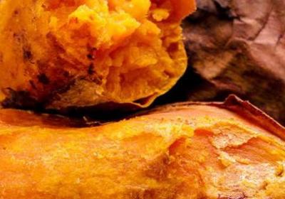 ​红薯有哪些做法