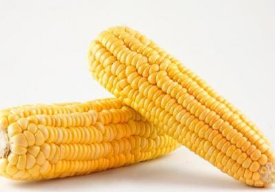 鲜玉米怎么煮好吃