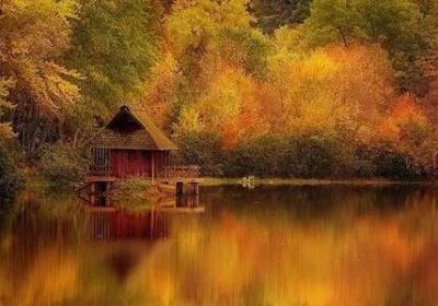 ​陪伴孩子成长温暖句子，父母陪伴孩子的唯美句子