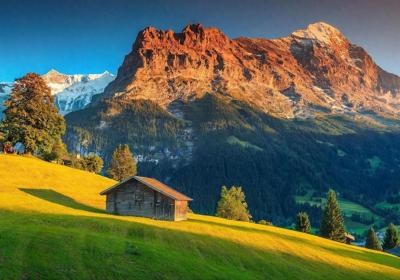 ​銆婐焽焽帰绉樼憺澹鎯咃細鍒濊Grindelwald鏉戝簞銆?p>