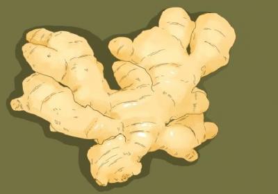 冬瓜皮和什么一起煮水去湿气