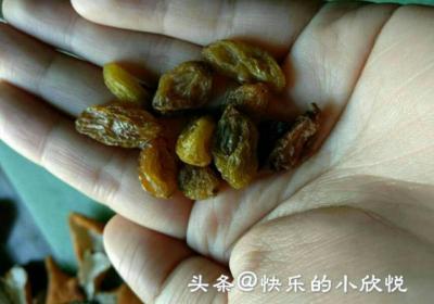 ​这样做的发糕又松软又好吃