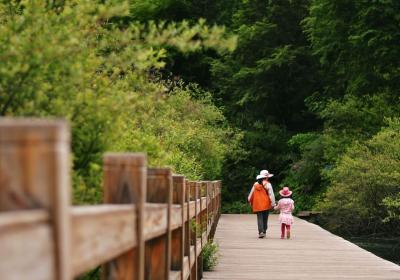 分红险保额是什么意思 分红险如何退保才能退完
