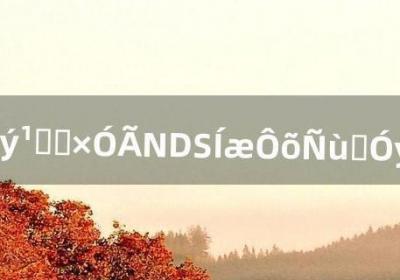 ​口袋妖怪黑白用NDS玩怎样使用金手指（口袋妖怪nds内置金手指怎么使用)