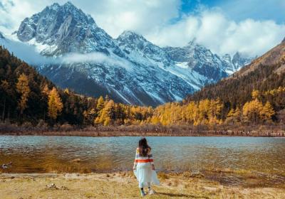 46周岁适合买哪种重疾险保险