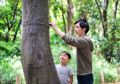 国际旅游保险不建议购买，具体原因都有哪些？