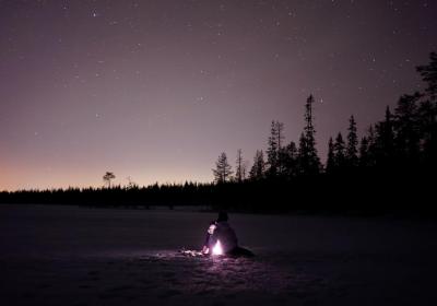 重疾险退款是按照什么退的