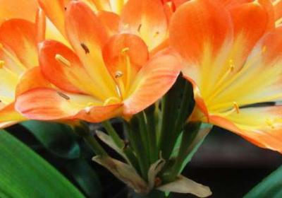 大众生活网，学会实用生活技巧，享受健康快乐生活。