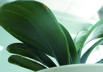 大众生活网，学会实用生活技巧，享受健康快乐生活。