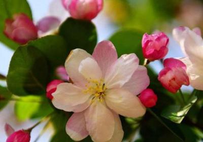 大众生活网，学会实用生活技巧，享受健康快乐生活。