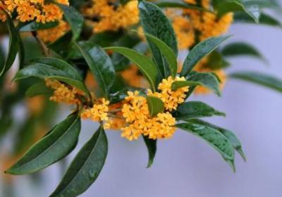 大众生活网，学会实用生活技巧，享受健康快乐生活。