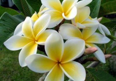 大众生活网，学会实用生活技巧，享受健康快乐生活。