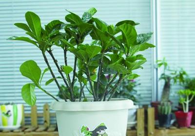 大众生活网，学会实用生活技巧，享受健康快乐生活。