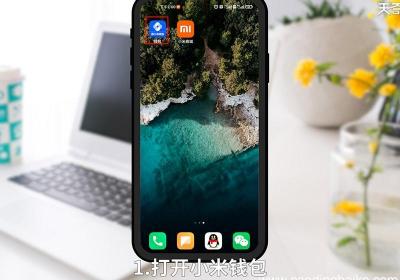 小米钱包怎么查账单 小米钱包如何查账单