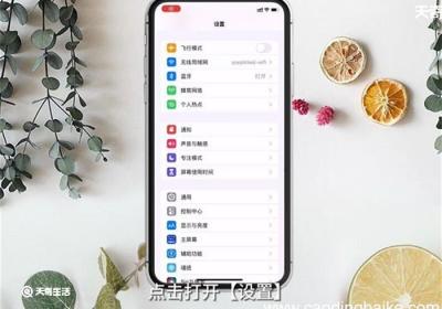 苹果扬声器没声音怎么设置 苹果扬声器没声音怎么办