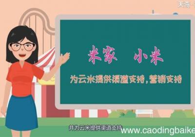 云米和小米什么关系 云米和小米是什么关系