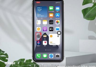 苹果X怎样取消侧键安装 苹果X取消侧键安装