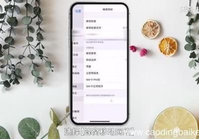苹果12是5g手机吗 苹果12是不是5g手机