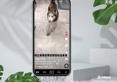 抖音总是自动退出怎么回事 抖音总是闪退怎么回事