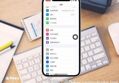 苹果相机镜像怎么设置 苹果相机镜像设置方法