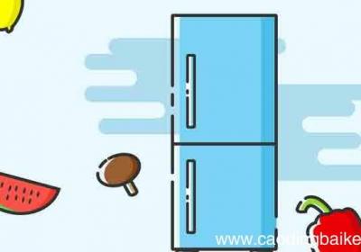 冰箱双变频和单变频的区别 冰箱双变频和单变频的区别是什么