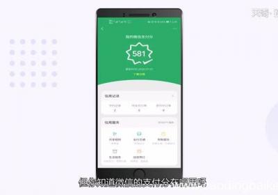 微信支付分在哪里看微信支付分位置在哪