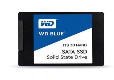 紫盘和蓝盘的区别 紫盘和蓝盘的区别是什么