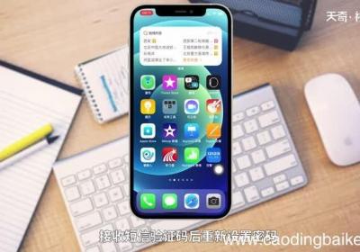 交管12123密码忘了怎么办 手机交管12123密码忘了怎么办