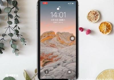 苹果13为什么不加指纹 苹果13为什么没有指纹